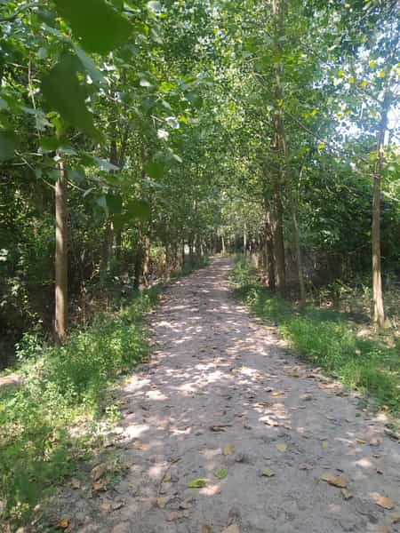 عکس سراب سنقر در شهر سنقر