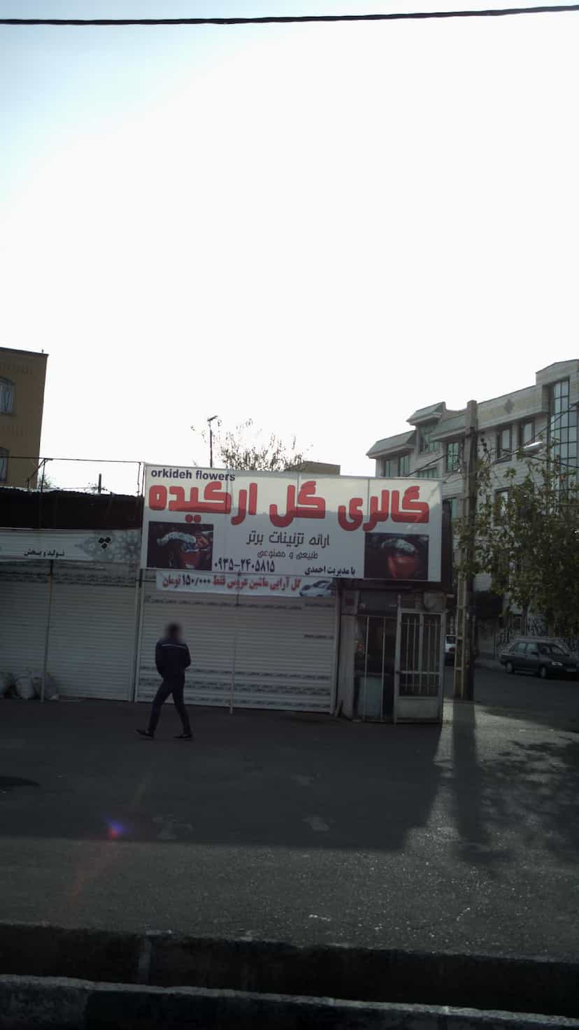 عکس گالری گل ارکیده در شهر کرج