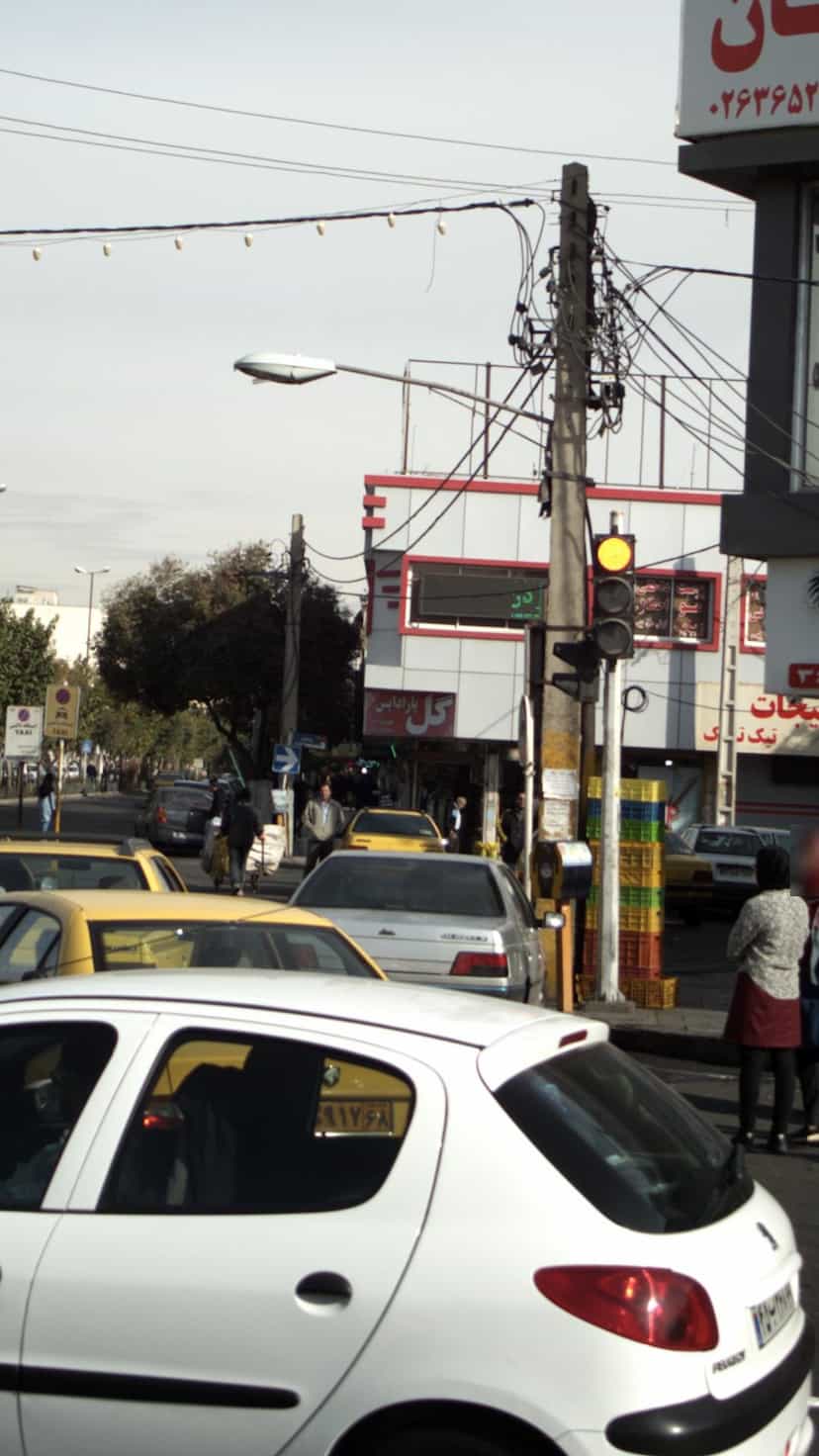 عکس گل پارادایس در شهر کرج