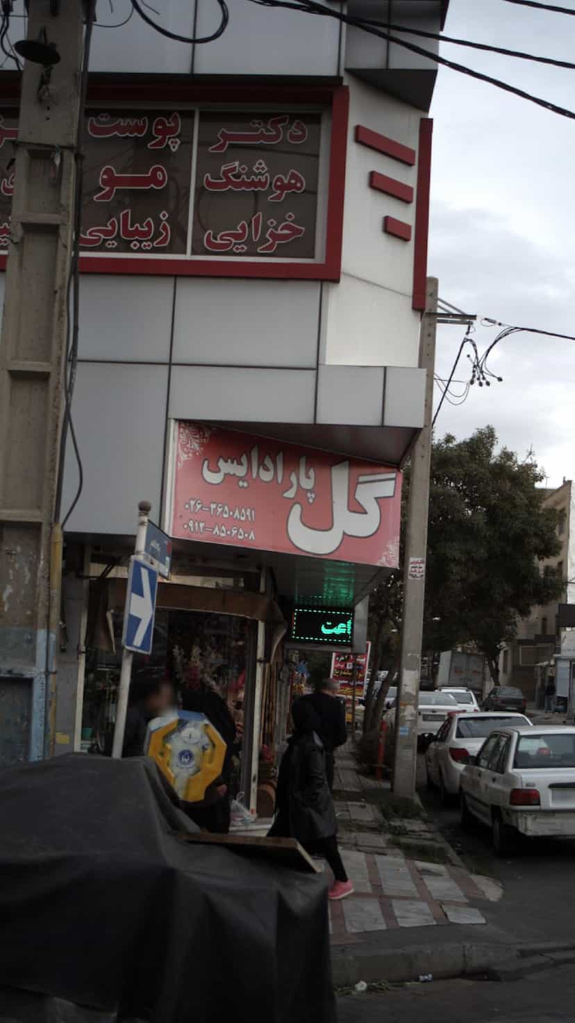 عکس گل پارادایس در شهر کرج