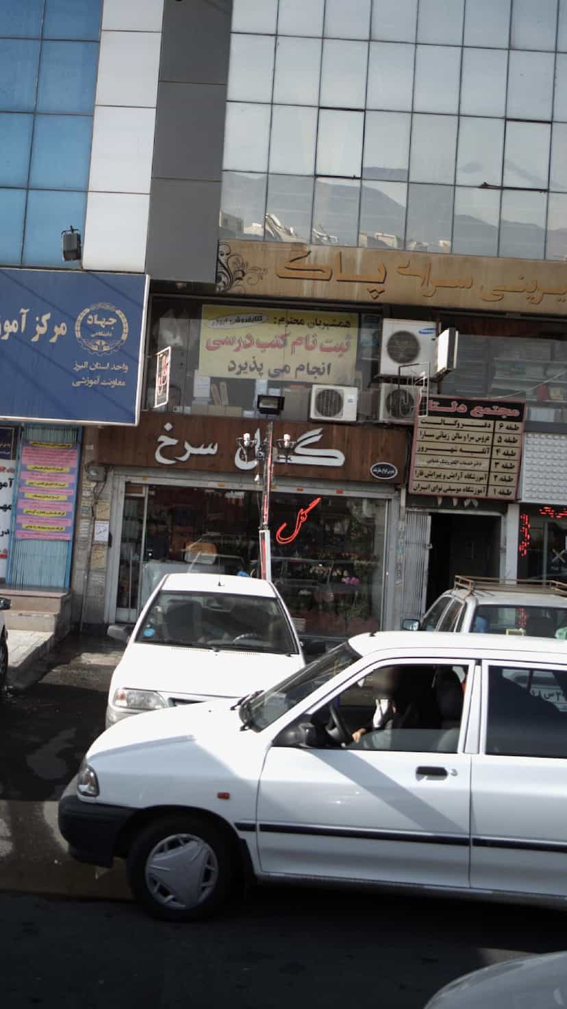 عکس گل سرخ در شهر کرج