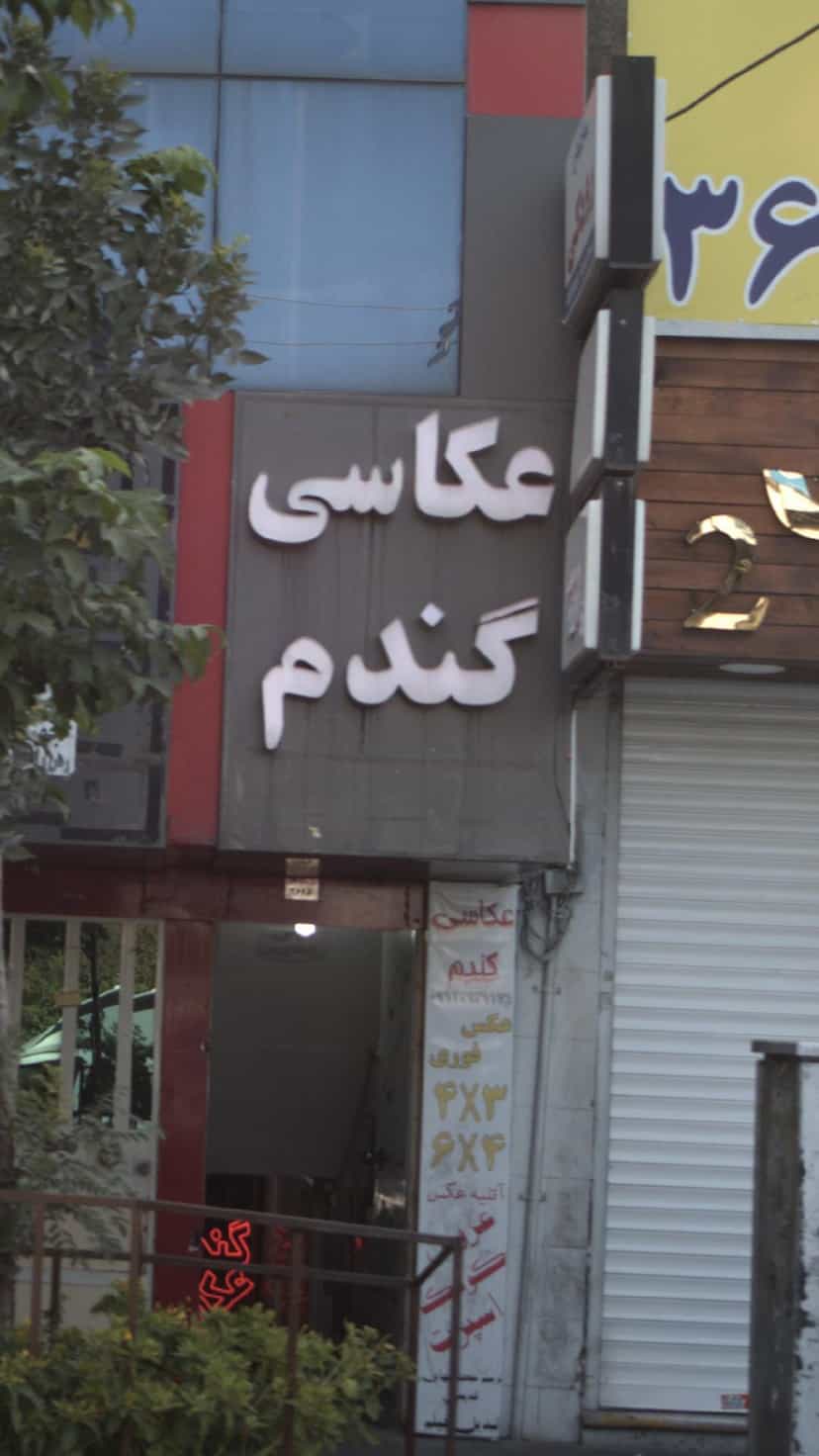 عکس عکاسی گندم در شهر فردیس