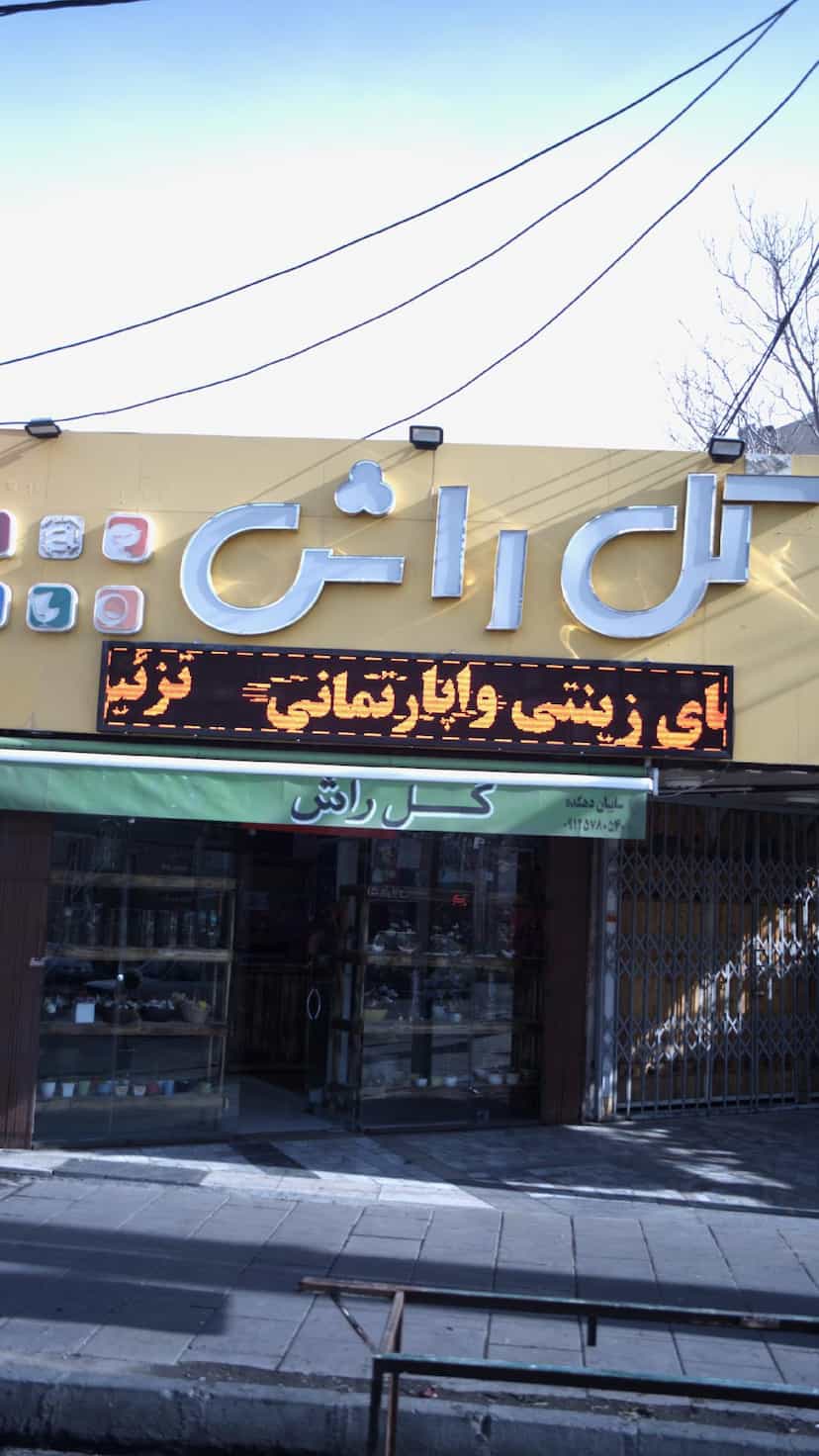 عکس گل راش در شهر فردیس