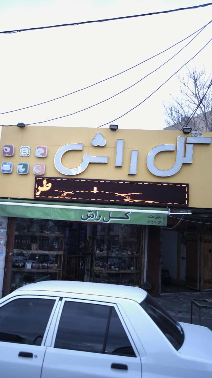 عکس گل راش در شهر فردیس