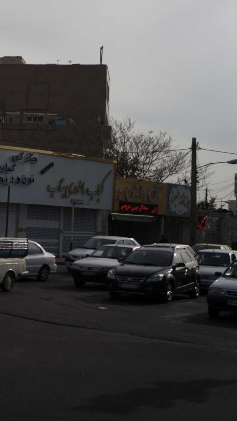 عکس گل راش در شهر فردیس