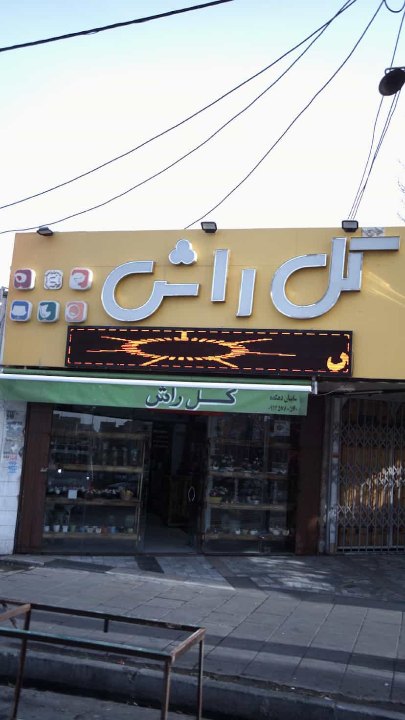 عکس گل راش در شهر فردیس