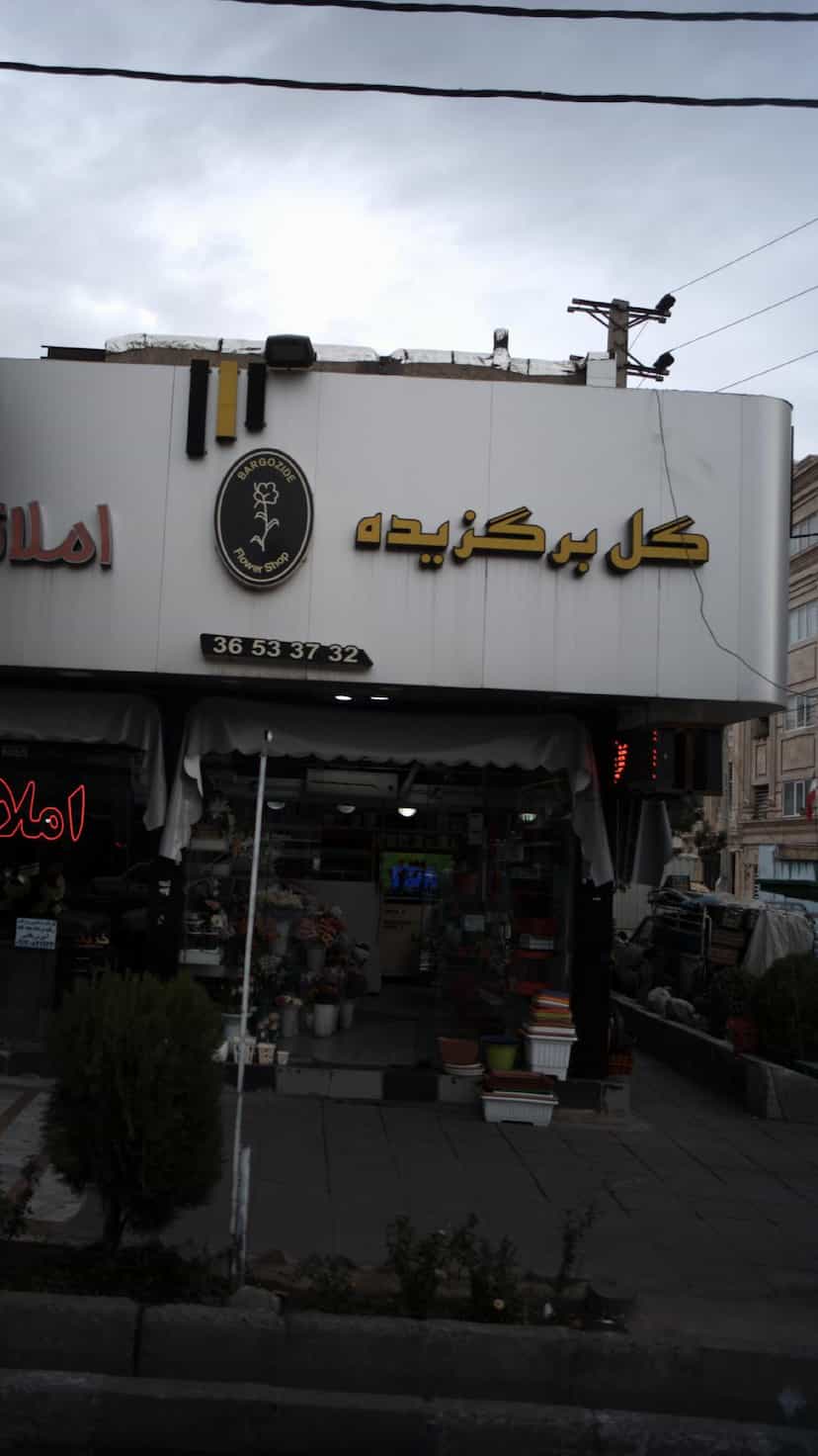 عکس گل برگزیده در شهر فردیس