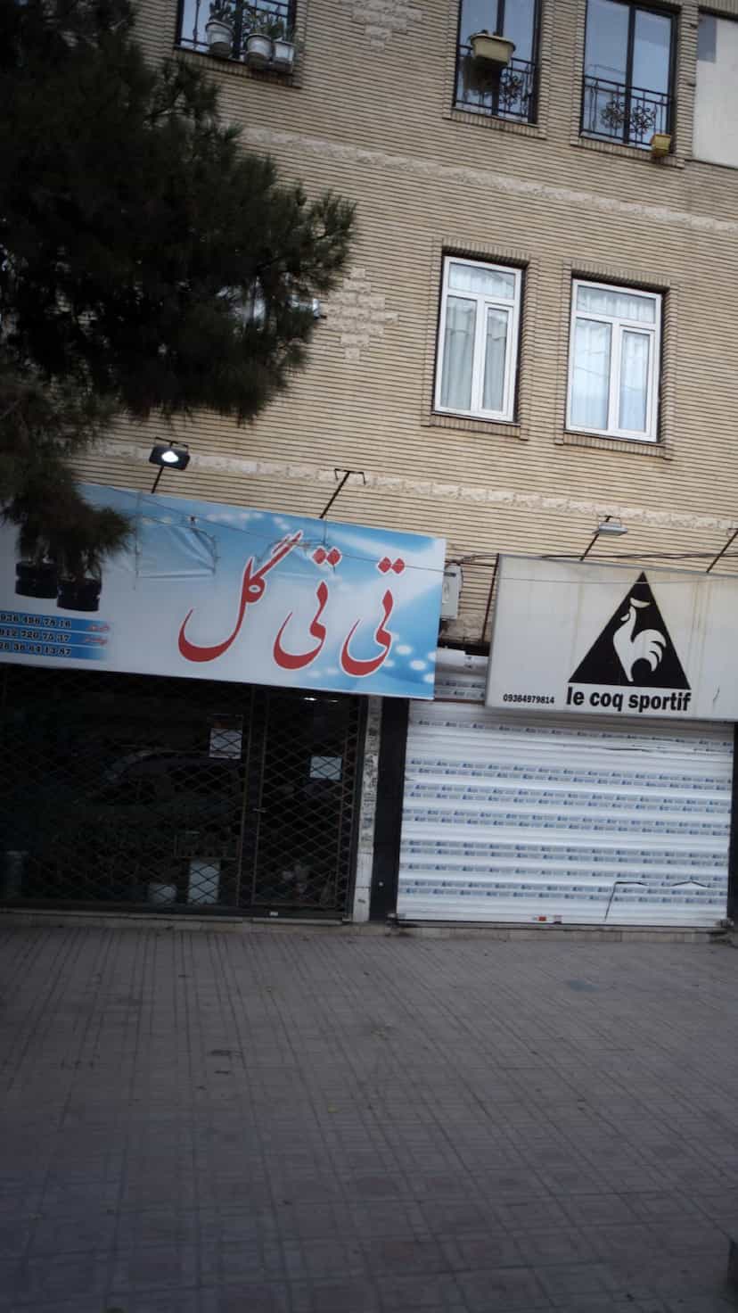 عکس تی تی گل شهرک طالقانی فردیس