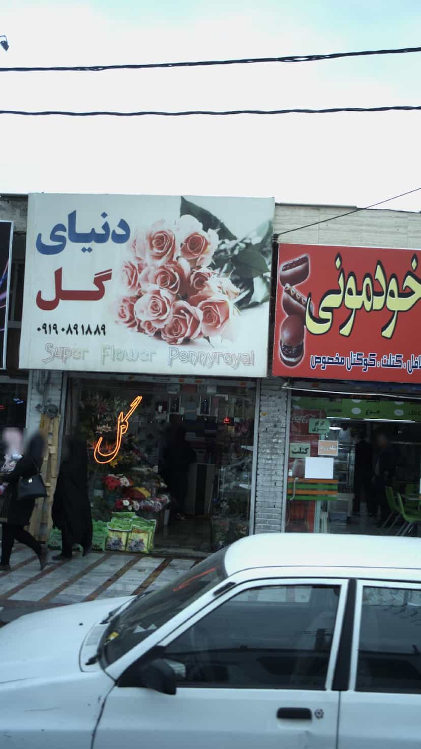 عکس دنیای گل در شهر فردیس