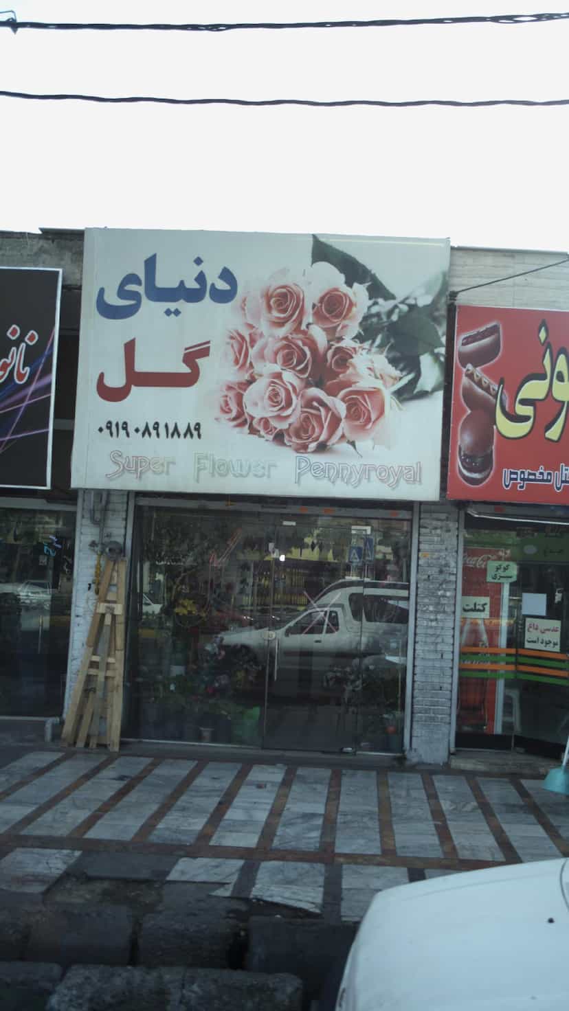 عکس دنیای گل در شهر فردیس