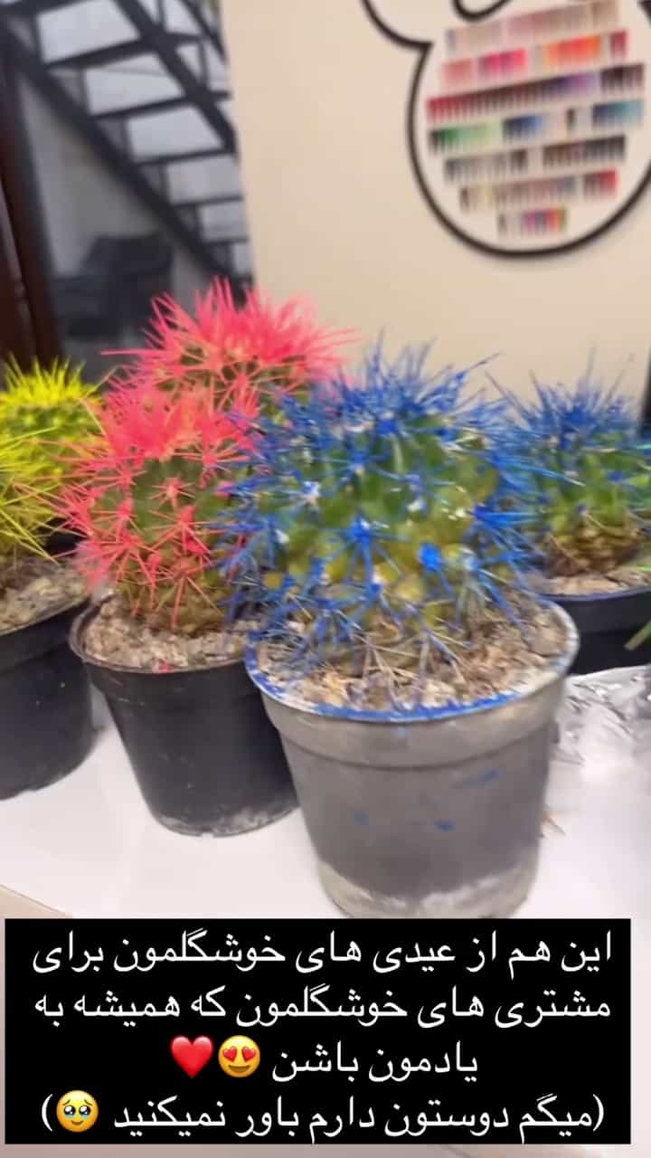 عکس سالن زیبایی بیوتی کوئین