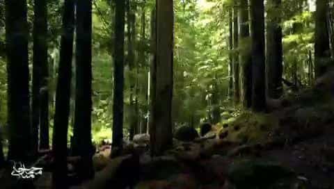 عکس آموزشگاه موسیقی و نقاشی تماشاگه راز