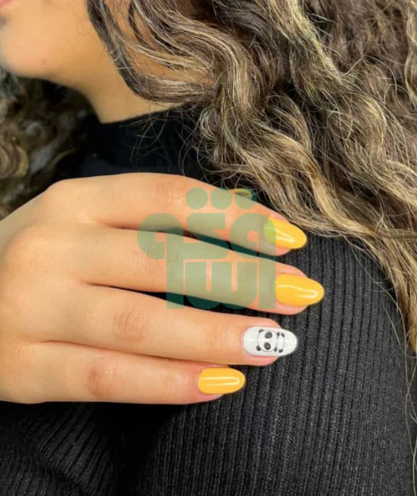 عکس سالن زیبایی وشکو