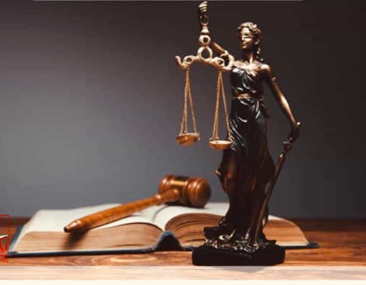 عکس مهناز محمودپور وکیل دادگستری