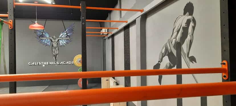 عکس باشگاه کلیستنیکس و کراسفیت