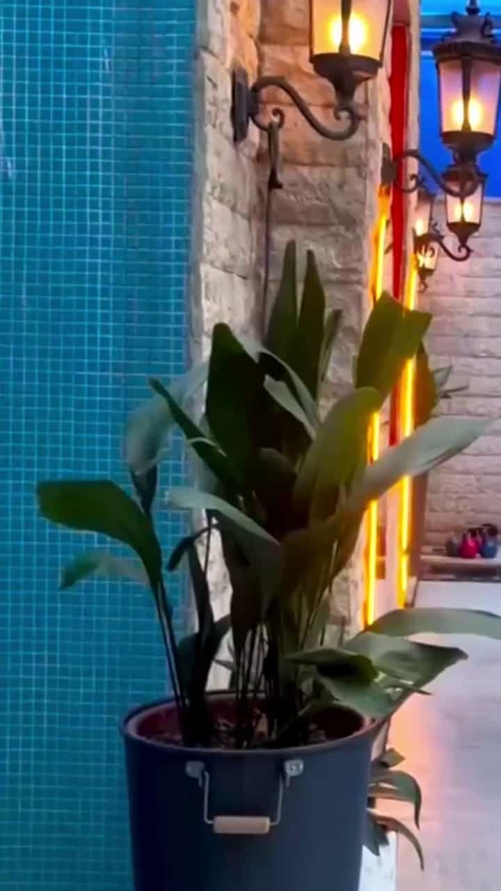 عکس باشگاه ورزشی جردن
