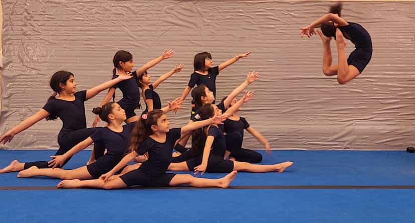 عکس آکادمی ژیمناستیک ویوا