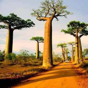 عکس آژانس مسافرتی دوران طلایی پارسیان