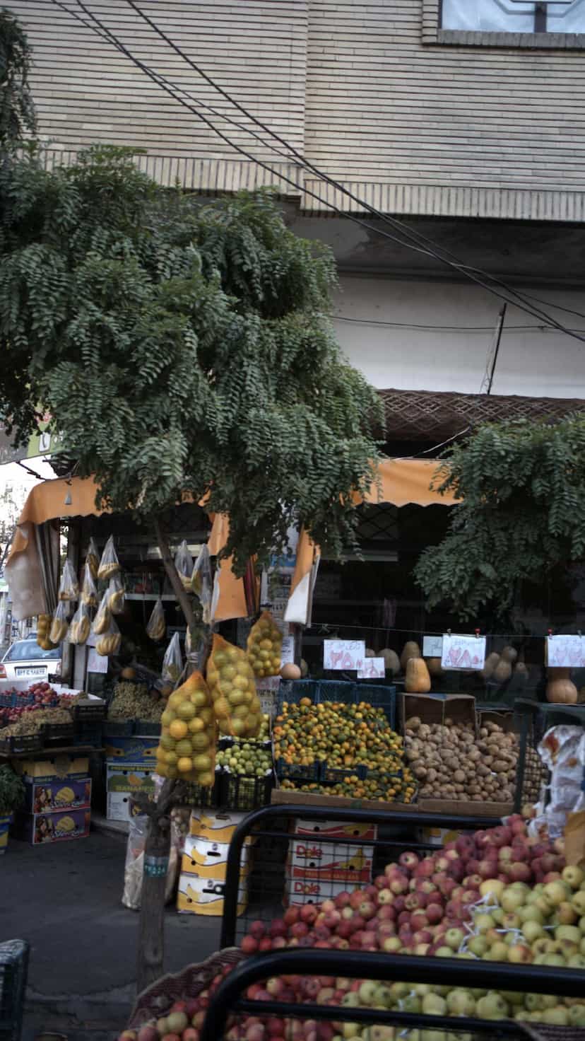 عکس میوه و تره بار عمو مجید در فاز ۱ اندیشه شهریار