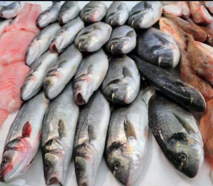 عکس سوپر پروتئین صادقی در فاز ۱ اندیشه شهریار