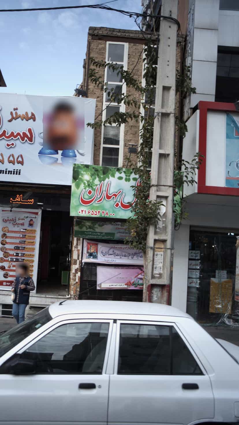 عکس گل بهاران در فاز ۱ اندیشه شهریار