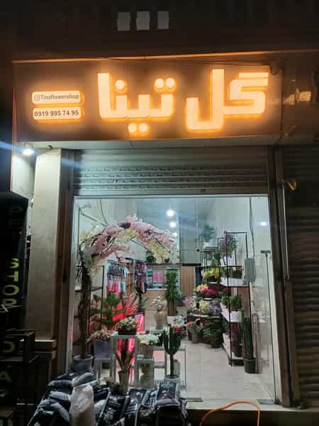 عکس گل تینا در فاز ۳ اندیشه شهریار