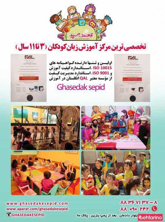 عکس قاصدک سپید