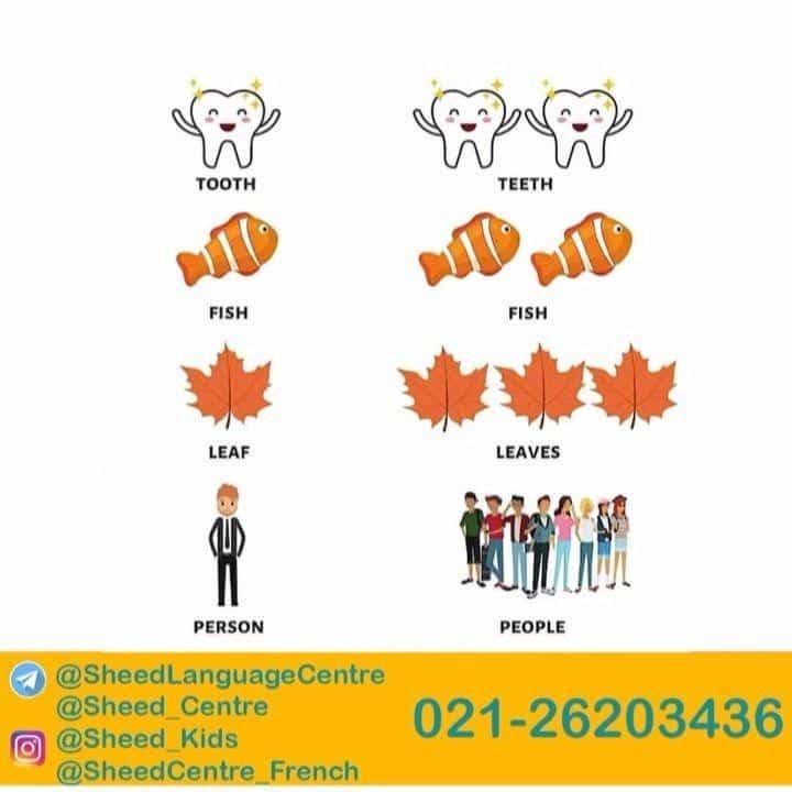 عکس مرکز زبان شید ویژه کودکان ، نوجوانان و بزرگسالان
