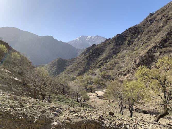 عکس ایران مد