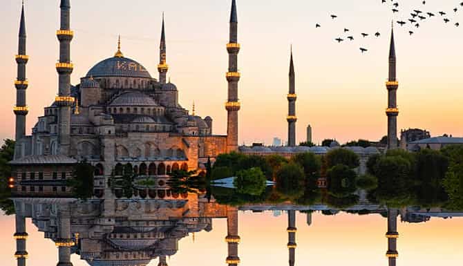 عکس آژانس مسافرتی آونگ سیر آریا