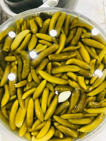 عکس فروشگاه پروتئین امین پور شهرک قائمیه اسلام‌شهر