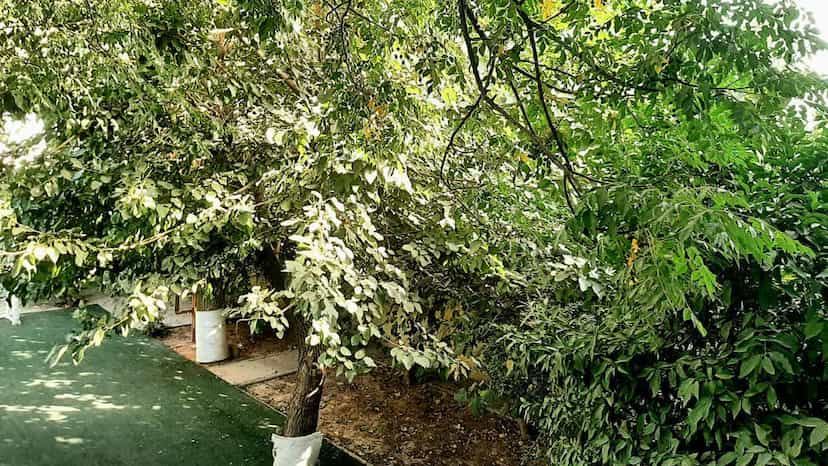 عکس دبستان پسرانه گام دوم در صادقیه اسلام‌شهر