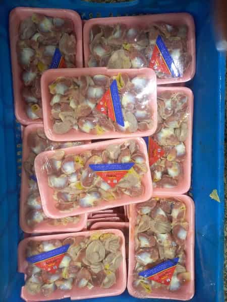 عکس سوپر پروتئین عرفان در مطهری 