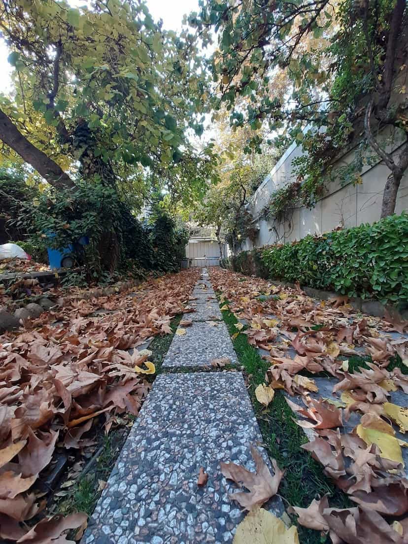 عکس موسسه فرهنگی هنری کارنامه