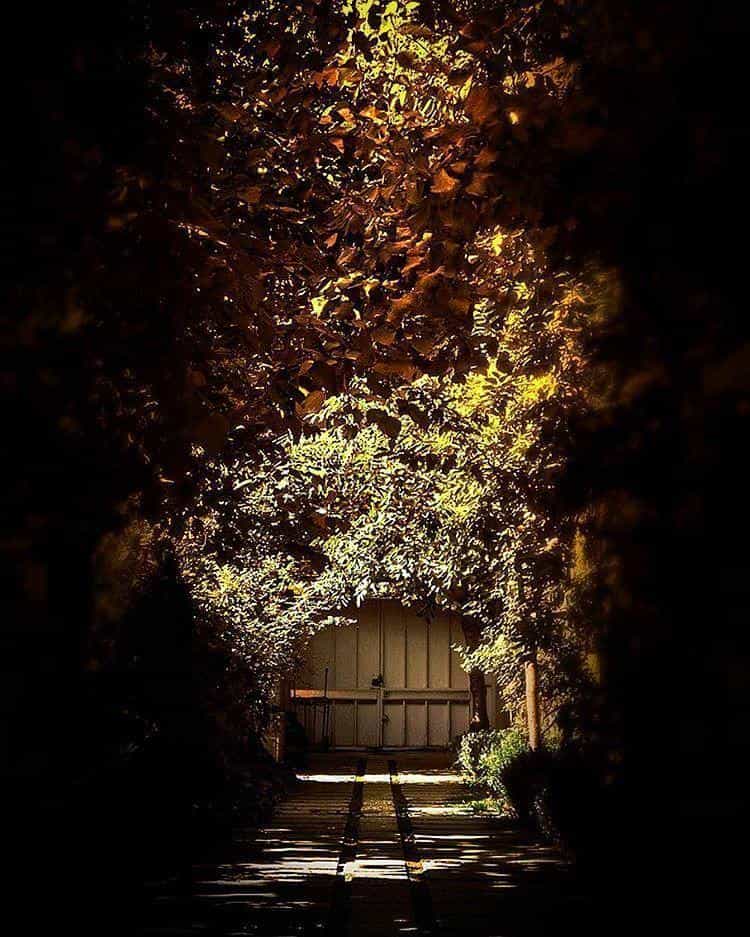 عکس موسسه فرهنگی هنری کارنامه