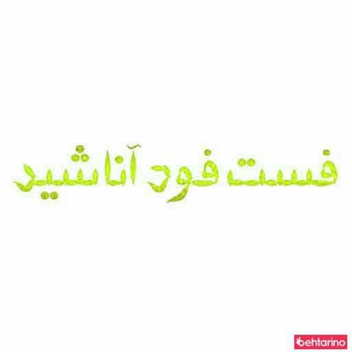 عکس فست فود آناشید