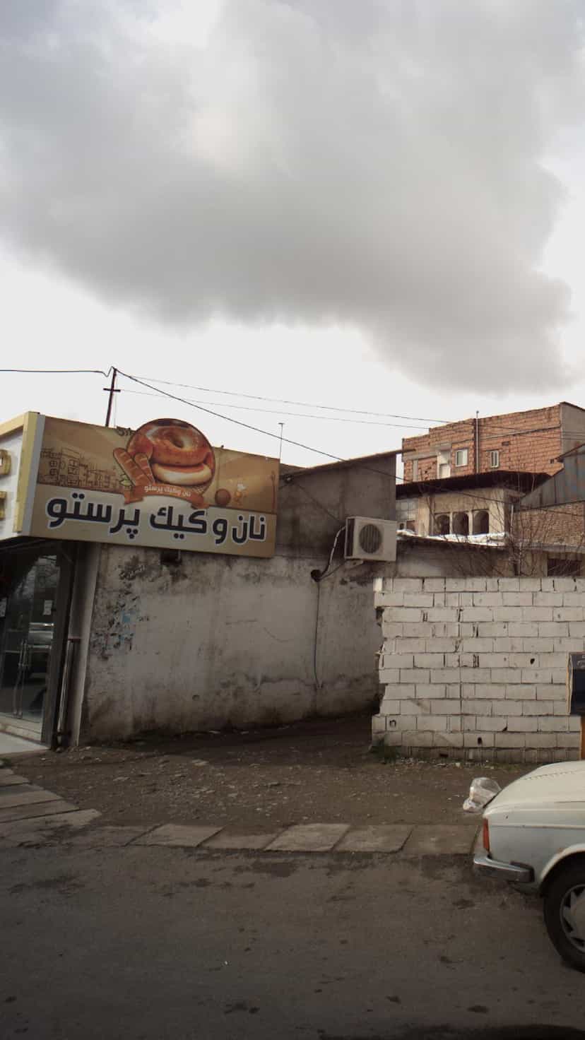 عکس نانوکیک پرستو در چاک سر آمل