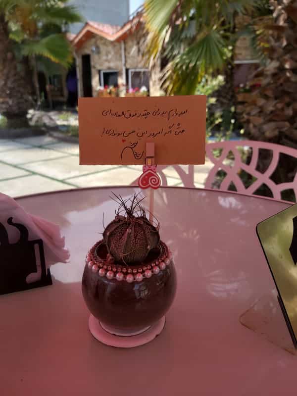 عکس رستوران باغ خاطره شهرک شهید رجایی آمل