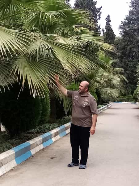 عکس پارک دهکده طلایی آمل در اسپه کلا آمل