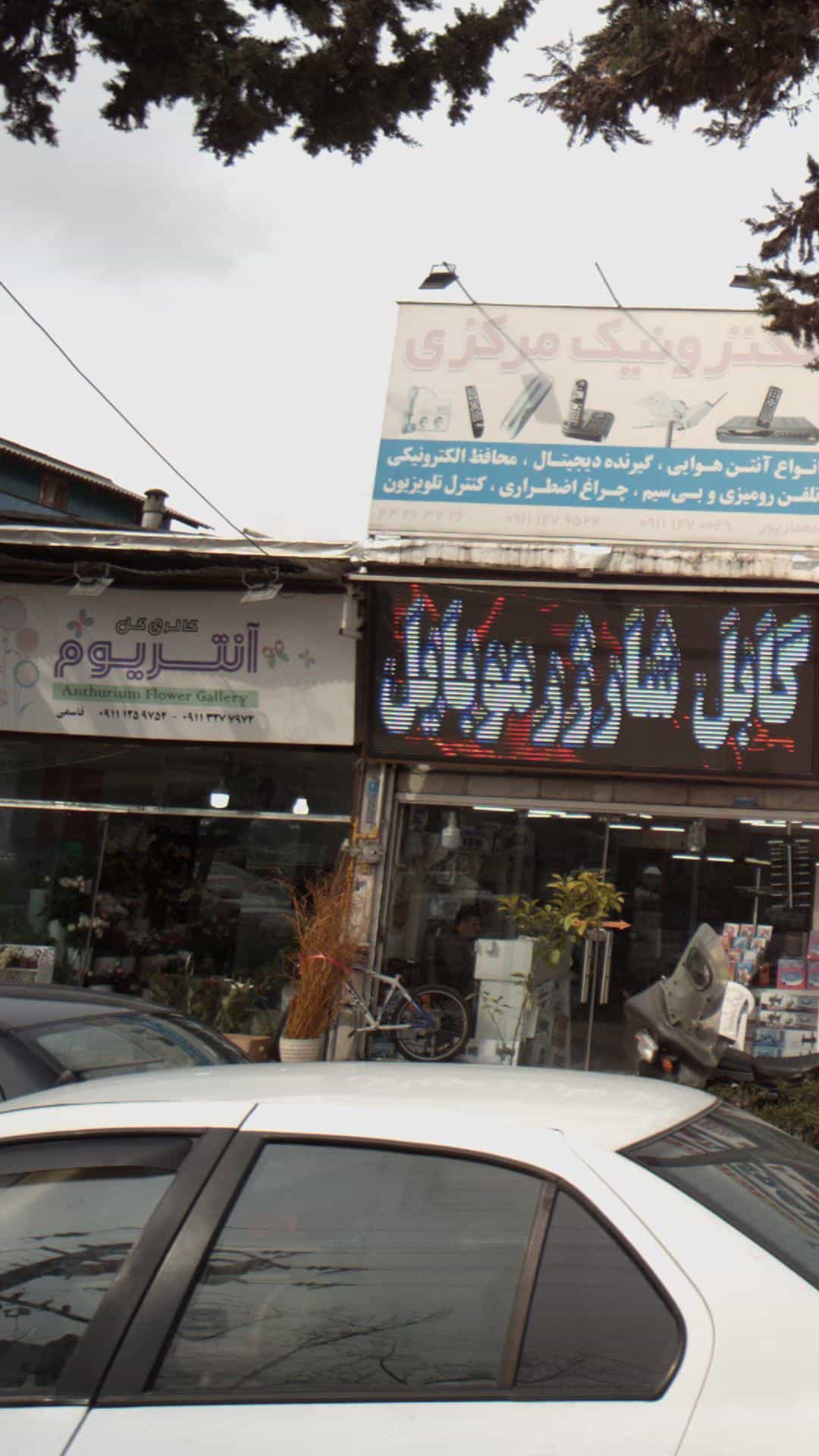 عکس گالری گل آنتریوم در گرجی محله آمل