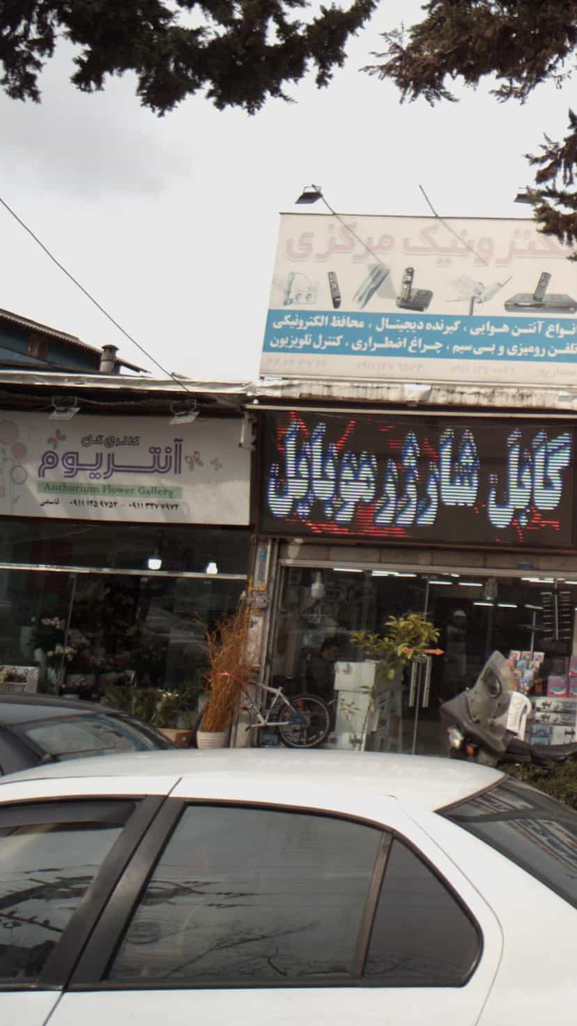 عکس گالری گل آنتریوم در گرجی محله آمل