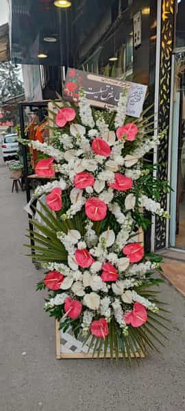 عکس گل فروشی گل گندم شهر بانو در آمل