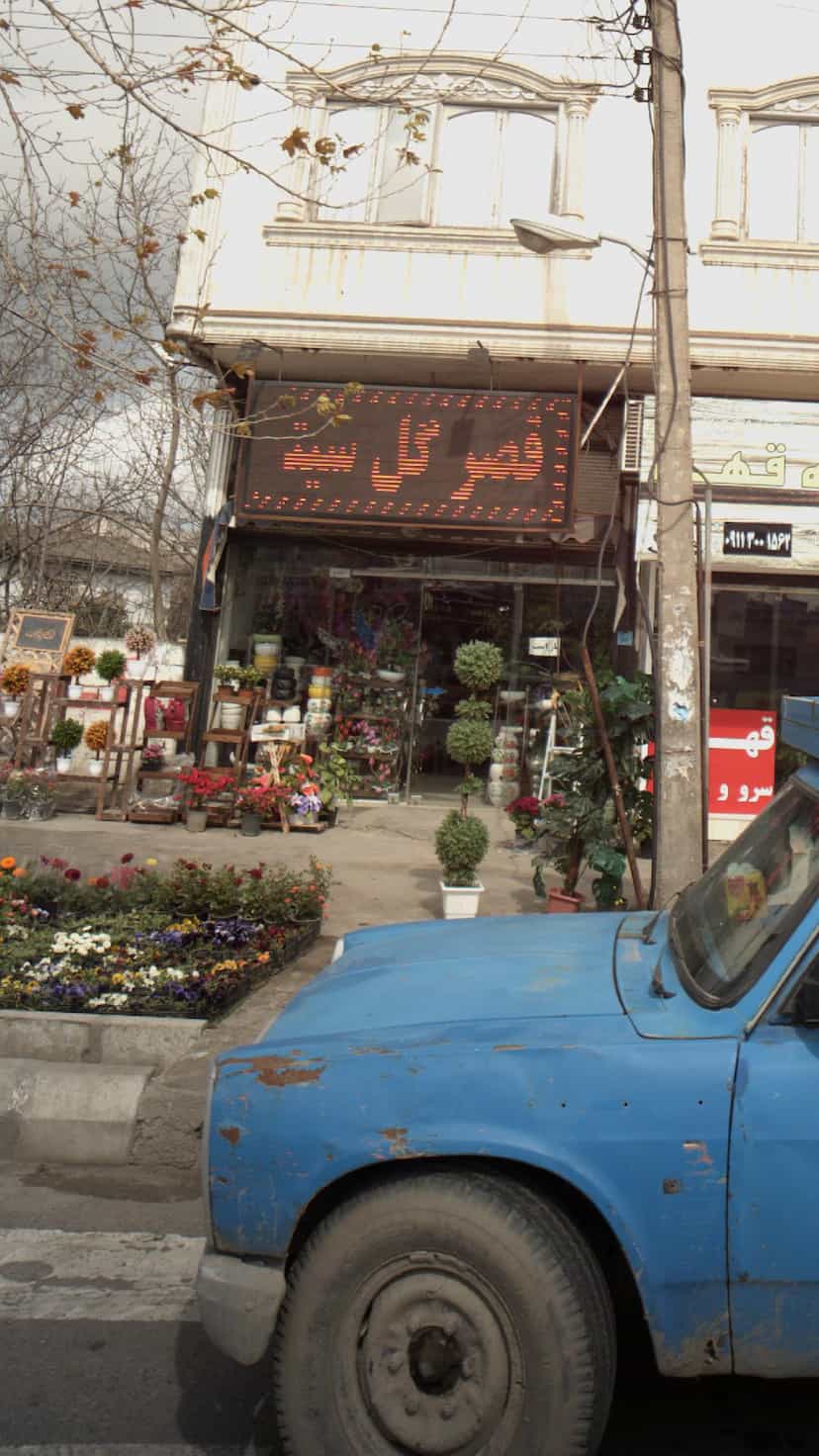 عکس قصر گل در ملت آباد آمل