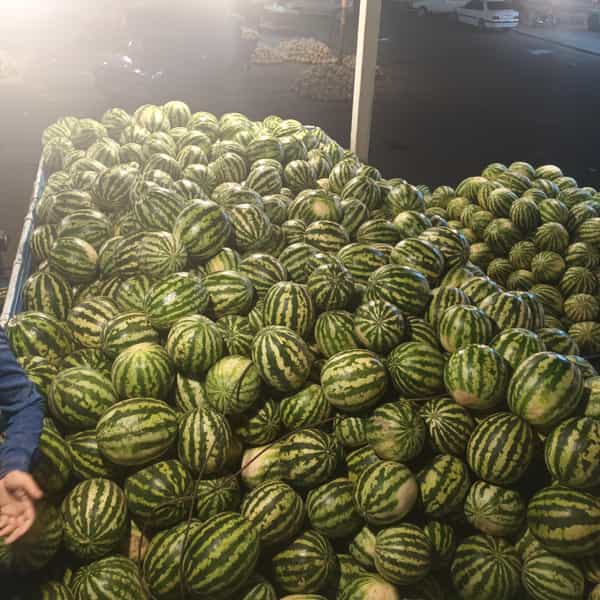 عکس میدان میوه و تره بار اردبیل در امام سجاد اردبیل
