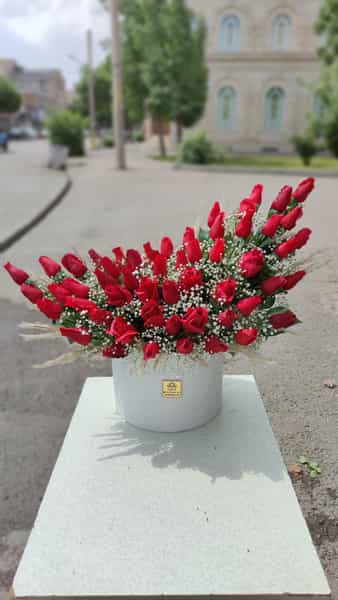 عکس گل لوتوس (lotus flowershop) در آزادی اردبیل