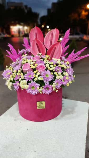 عکس گل لوتوس (lotus flowershop) در آزادی اردبیل