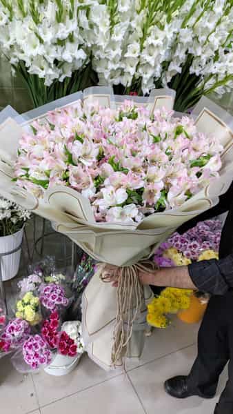 عکس گل لوتوس (lotus flowershop) در آزادی اردبیل