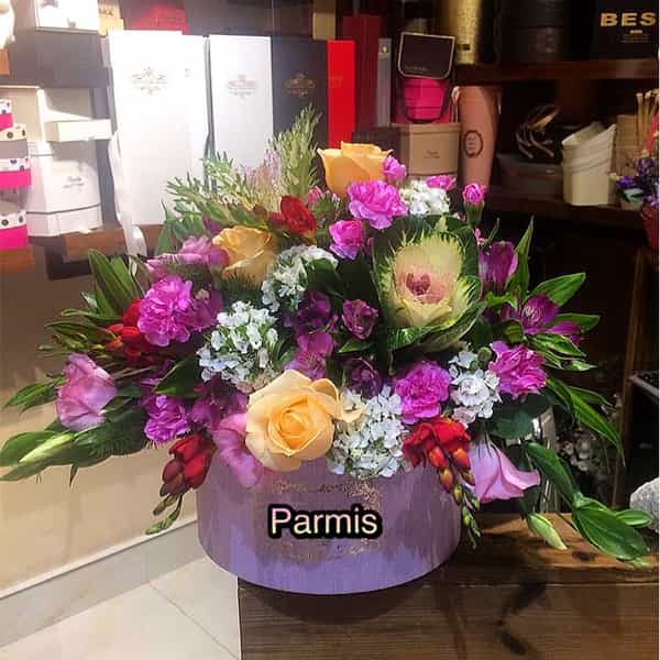 عکس گل پارمیس در آزادگان اردبیل