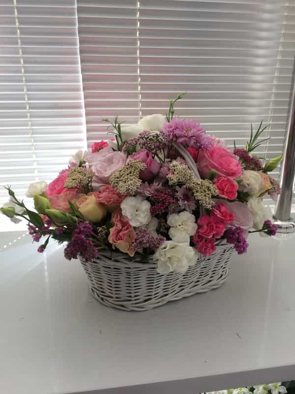 عکس گل پارمیس در آزادگان اردبیل