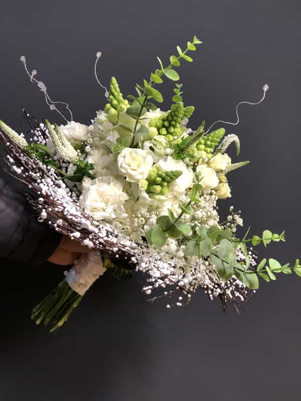 عکس گل پارمیس در آزادگان اردبیل